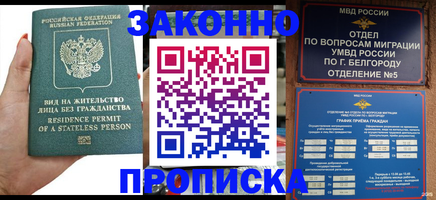 прописка для кредита в Дмитрове